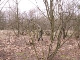 img135.jpeg.small.jpeg