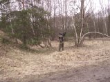 img143.jpeg.small.jpeg