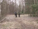 img146.jpeg.small.jpeg